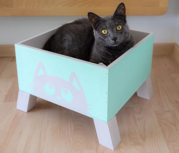 plantilla de vinilo sobre pintura a la tiza